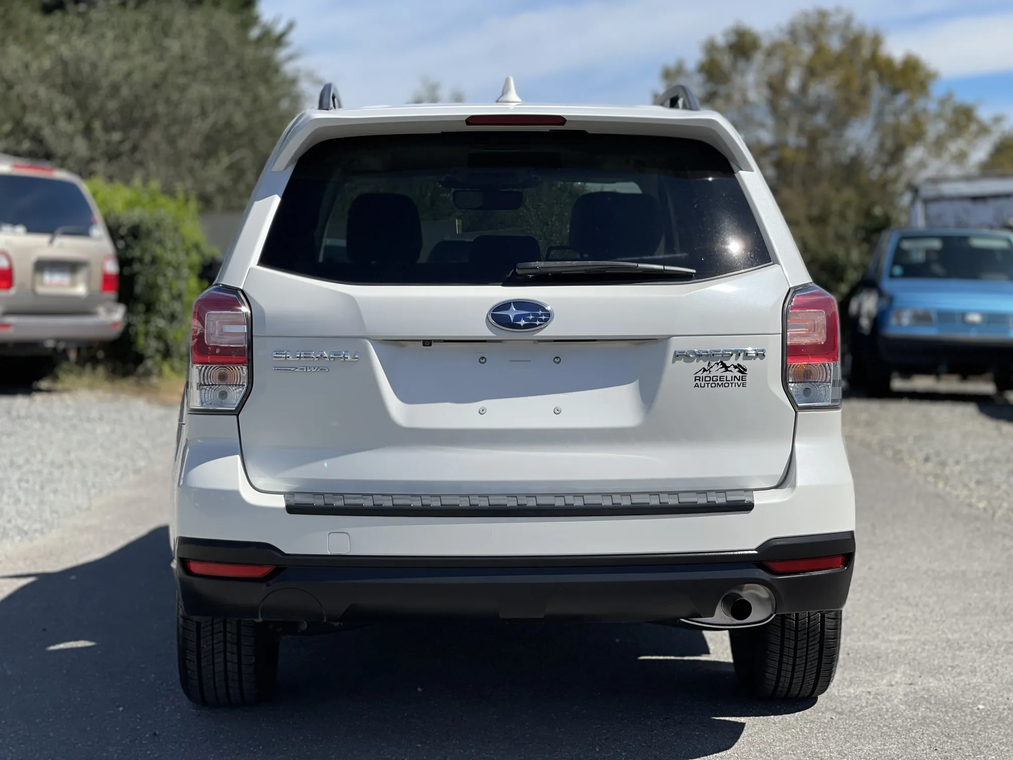 Rear