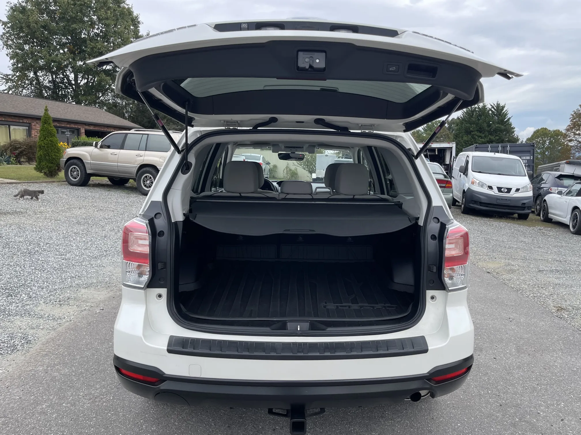 Trunk