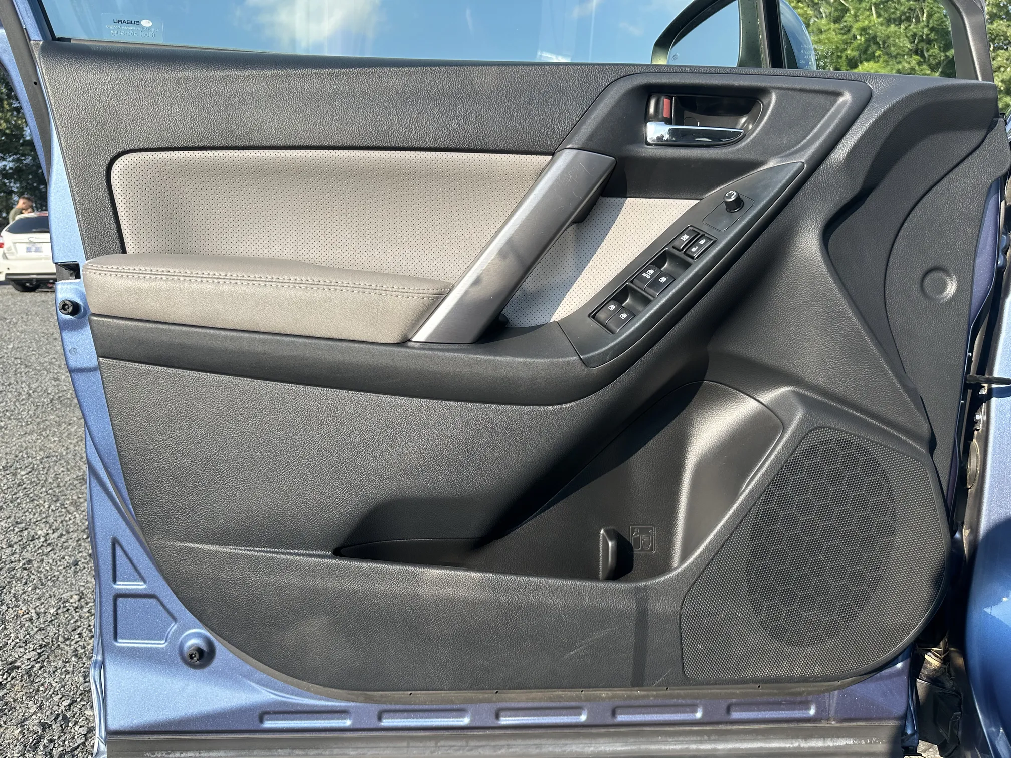 Driver door
