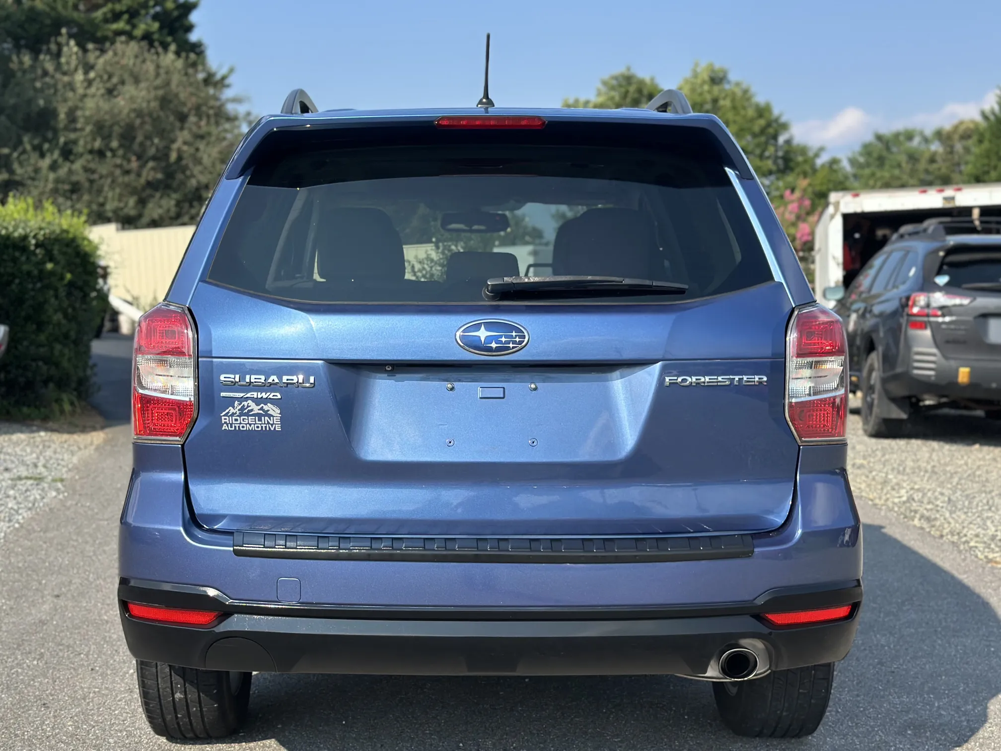 Rear
