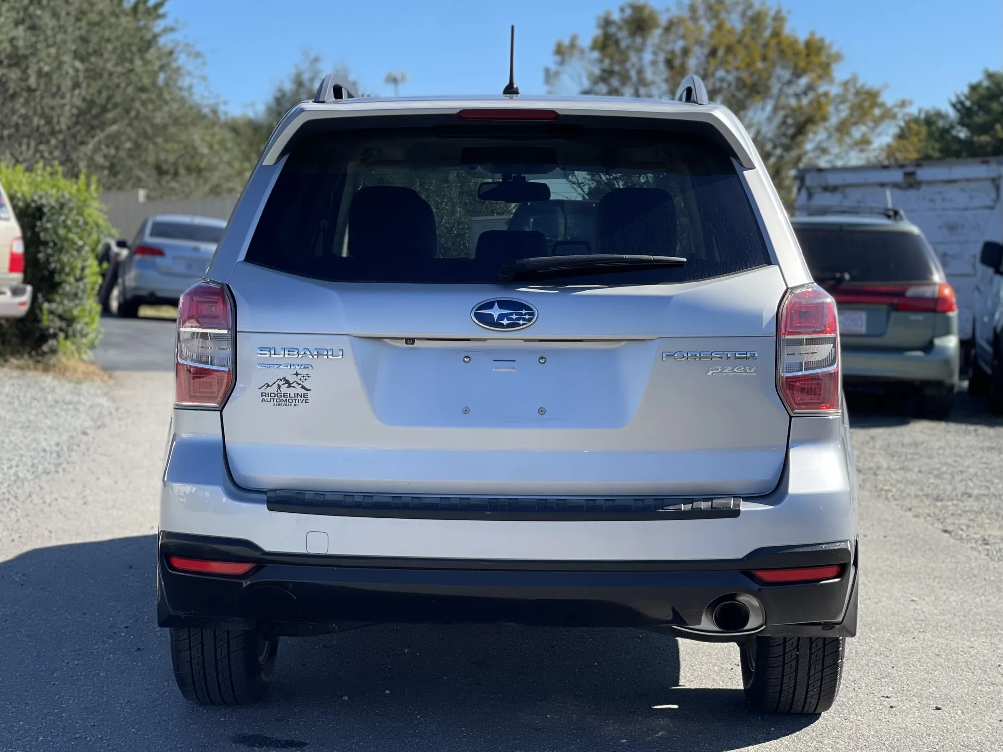 Rear