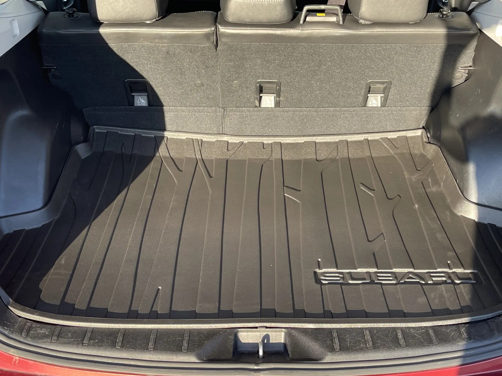 Trunk