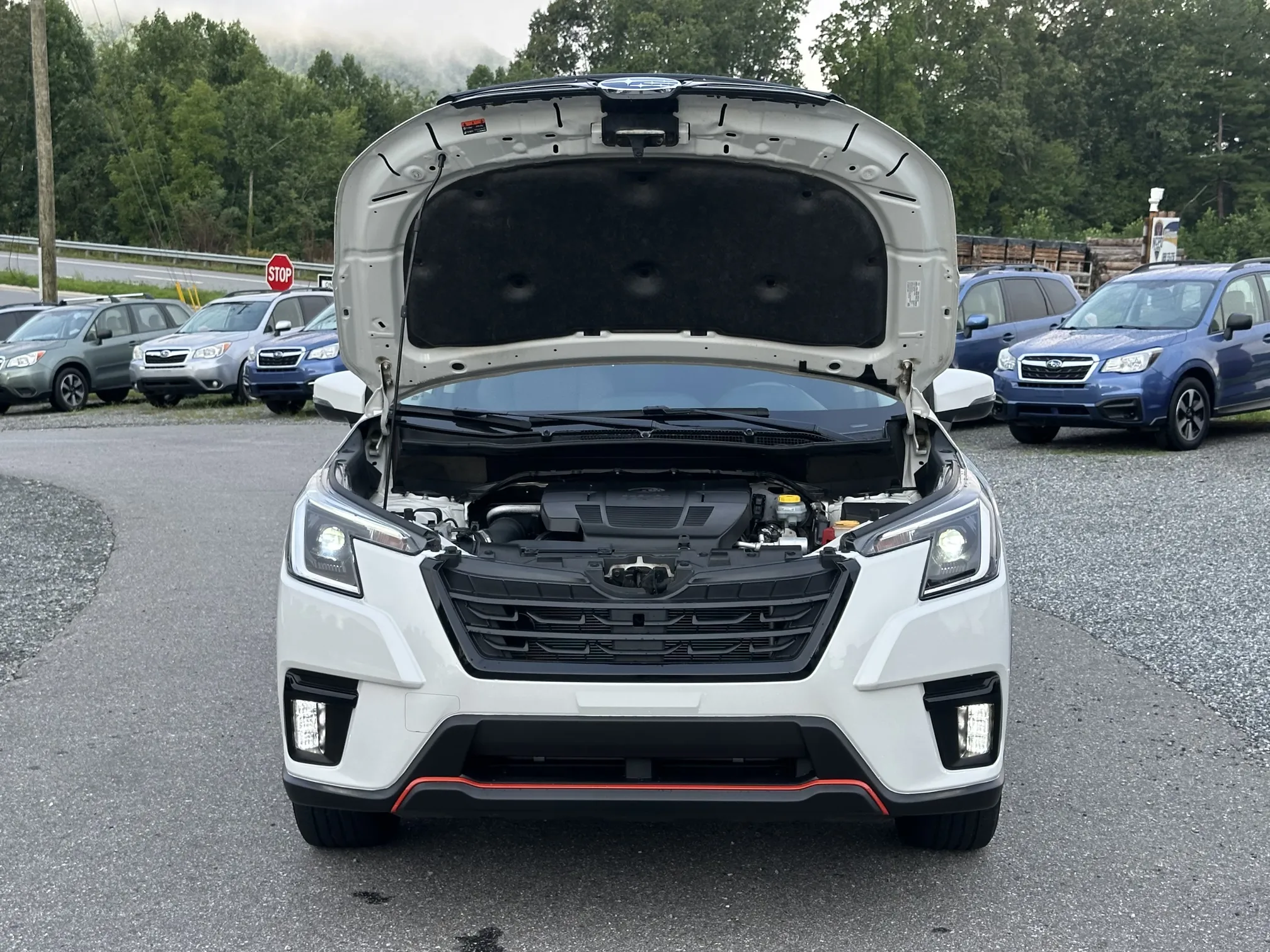 2022 Subaru Forester Sport - White